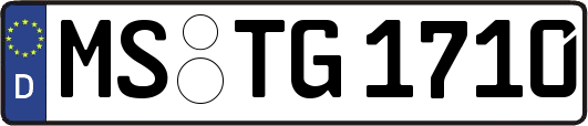 MS-TG1710