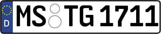 MS-TG1711