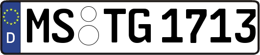 MS-TG1713