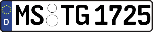 MS-TG1725