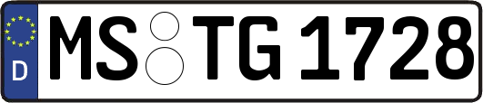 MS-TG1728