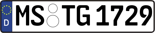MS-TG1729