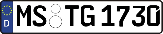 MS-TG1730