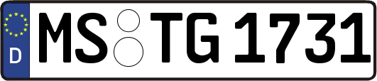 MS-TG1731