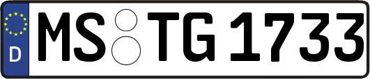 MS-TG1733