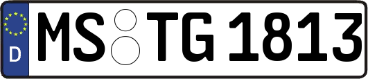 MS-TG1813