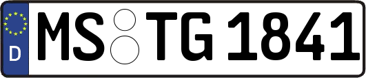 MS-TG1841