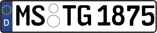 MS-TG1875