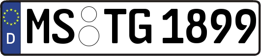 MS-TG1899