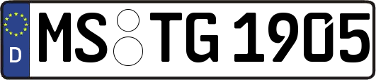 MS-TG1905