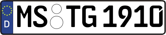 MS-TG1910