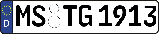 MS-TG1913