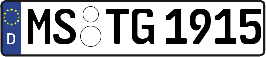 MS-TG1915