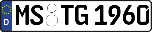 MS-TG1960