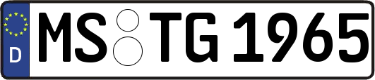 MS-TG1965