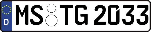 MS-TG2033