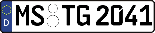 MS-TG2041