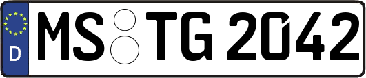 MS-TG2042