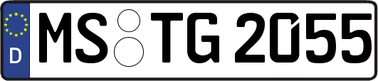 MS-TG2055