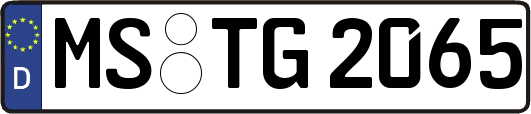 MS-TG2065