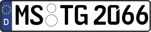 MS-TG2066