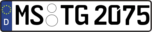 MS-TG2075