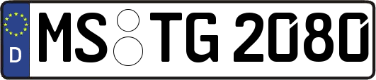 MS-TG2080