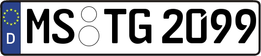 MS-TG2099
