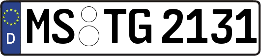 MS-TG2131