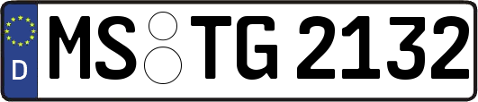 MS-TG2132