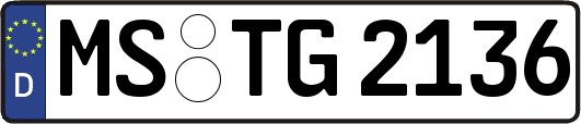 MS-TG2136