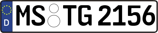 MS-TG2156