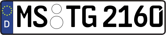 MS-TG2160
