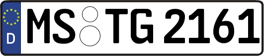 MS-TG2161
