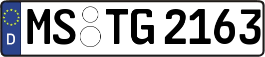MS-TG2163