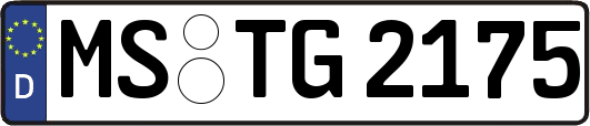 MS-TG2175