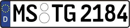 MS-TG2184