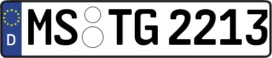 MS-TG2213