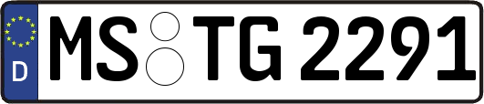 MS-TG2291