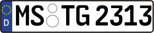 MS-TG2313
