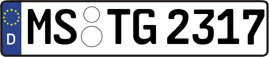 MS-TG2317