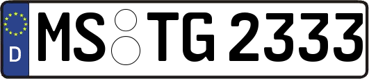MS-TG2333