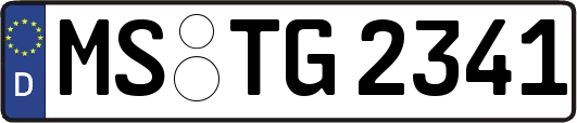 MS-TG2341