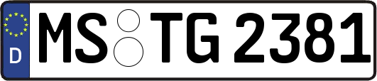 MS-TG2381