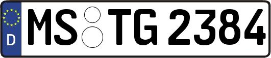 MS-TG2384