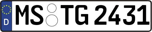 MS-TG2431