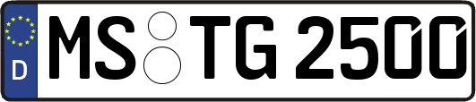 MS-TG2500