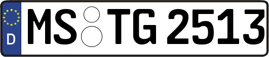 MS-TG2513
