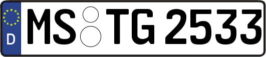 MS-TG2533