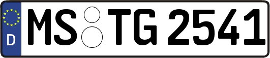 MS-TG2541